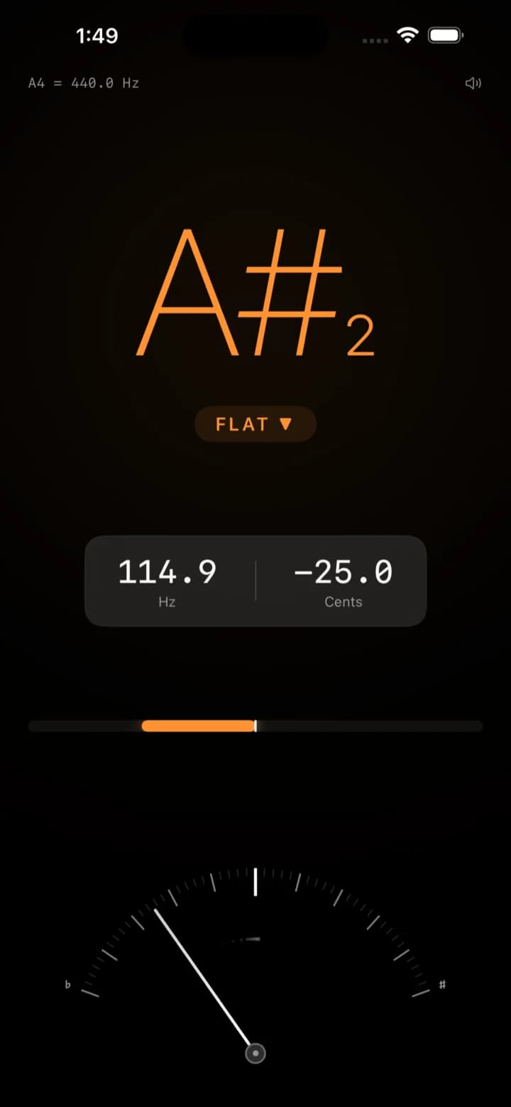 ProTuner tuner screen on iPhone.